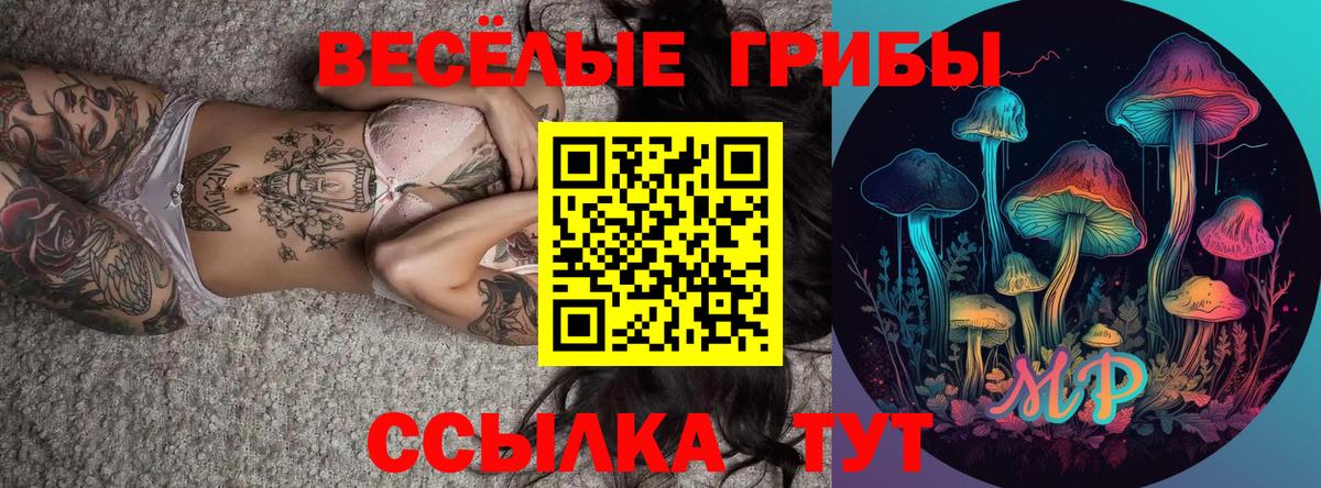 Галлюциногенные грибы GOLDEN TEACHER Йошкар-Ола